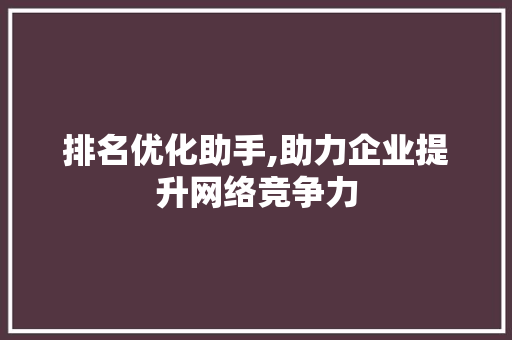 排名优化助手,助力企业提升网络竞争力