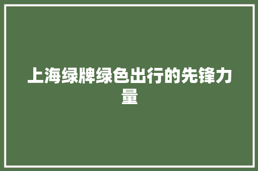 上海绿牌绿色出行的先锋力量