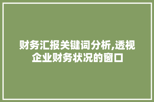 财务汇报关键词分析,透视企业财务状况的窗口