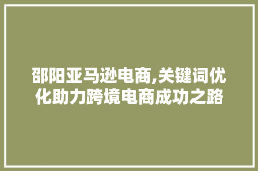 邵阳亚马逊电商,关键词优化助力跨境电商成功之路  第1张