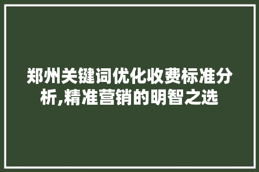 郑州关键词优化收费标准分析,精准营销的明智之选