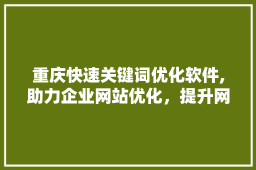 重庆快速关键词优化软件,助力企业网站优化，提升网络营销效果  第1张