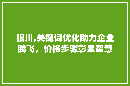 银川,关键词优化助力企业腾飞，价格步骤彰显智慧