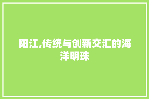 阳江,传统与创新交汇的海洋明珠