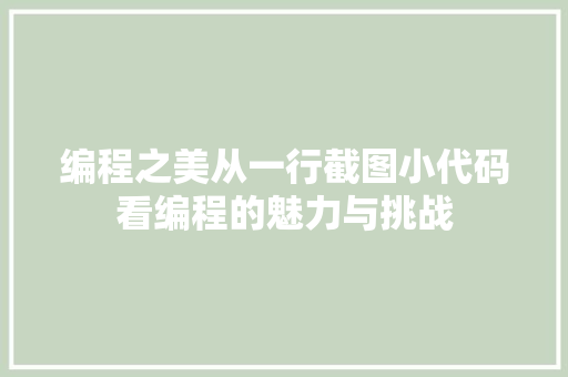 编程之美从一行截图小代码看编程的魅力与挑战  第1张
