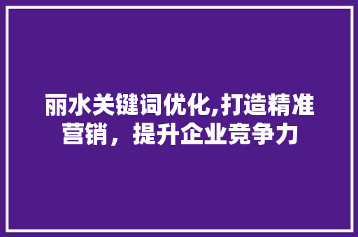 丽水关键词优化,打造精准营销，提升企业竞争力
