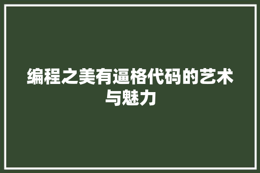 编程之美有逼格代码的艺术与魅力