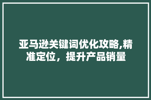 亚马逊关键词优化攻略,精准定位，提升产品销量