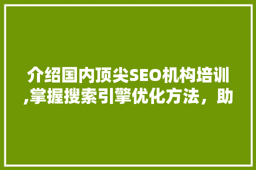 介绍国内顶尖SEO机构培训,掌握搜索引擎优化方法，助力企业腾飞