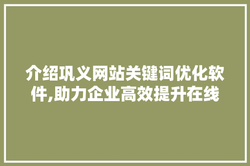 介绍巩义网站关键词优化软件,助力企业高效提升在线竞争力