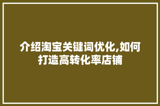 介绍淘宝关键词优化,如何打造高转化率店铺  第1张