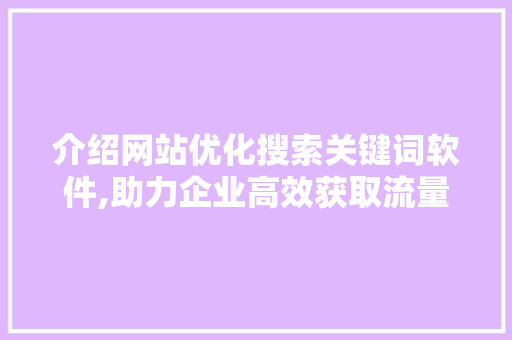 介绍网站优化搜索关键词软件,助力企业高效获取流量