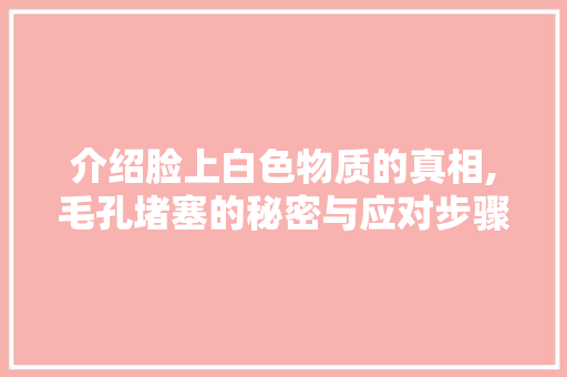 介绍脸上白色物质的真相,毛孔堵塞的秘密与应对步骤