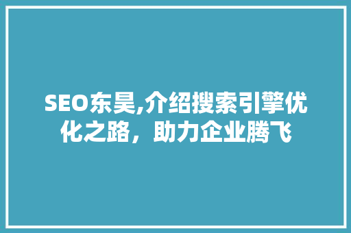 SEO东昊,介绍搜索引擎优化之路，助力企业腾飞