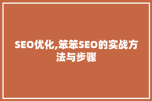 SEO优化,笨笨SEO的实战方法与步骤
