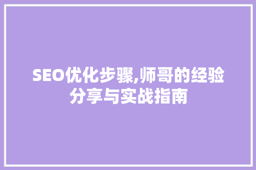 SEO优化步骤,师哥的经验分享与实战指南