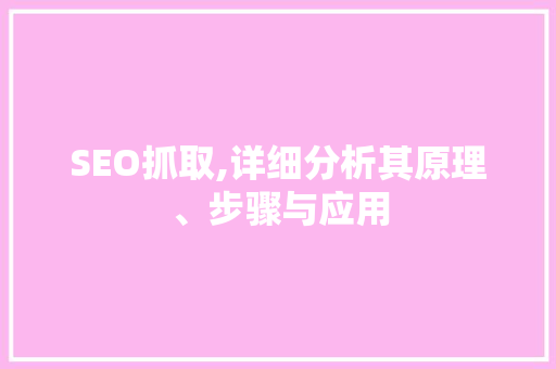 SEO抓取,详细分析其原理、步骤与应用  第1张