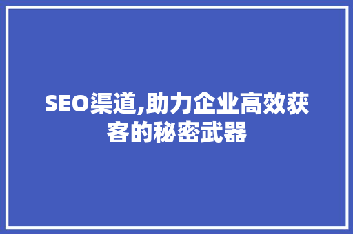 SEO渠道,助力企业高效获客的秘密武器  第1张