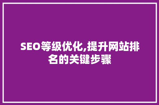 SEO等级优化,提升网站排名的关键步骤  第1张