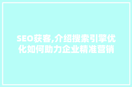 SEO获客,介绍搜索引擎优化如何助力企业精准营销