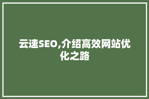 云速SEO,介绍高效网站优化之路  第1张