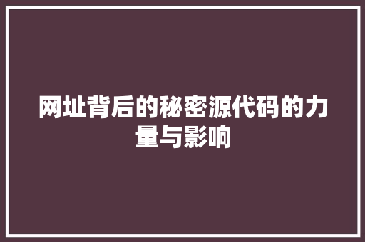 网址背后的秘密源代码的力量与影响  第1张