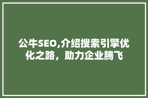 公牛SEO,介绍搜索引擎优化之路，助力企业腾飞