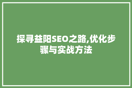探寻益阳SEO之路,优化步骤与实战方法