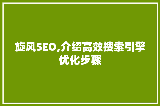 旋风SEO,介绍高效搜索引擎优化步骤  第1张