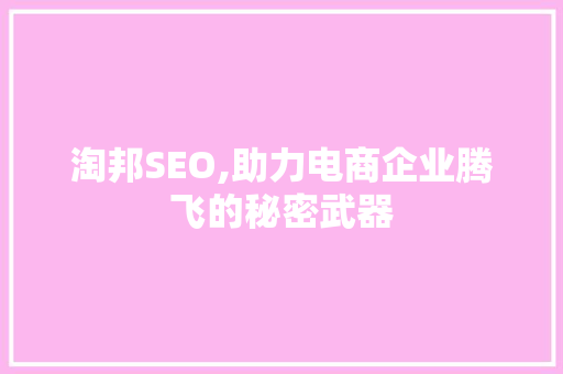 淘邦SEO,助力电商企业腾飞的秘密武器