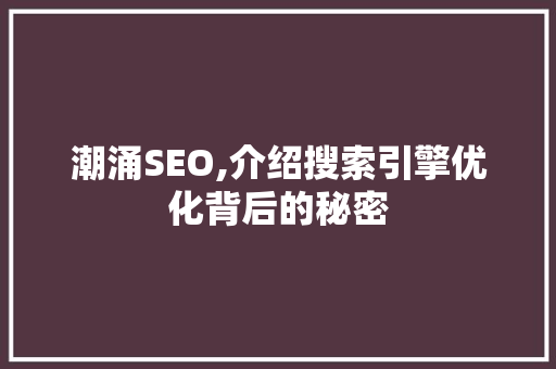 潮涌SEO,介绍搜索引擎优化背后的秘密