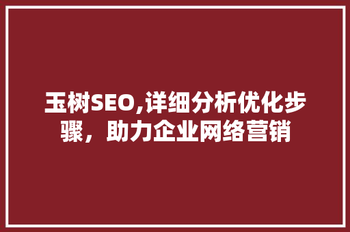玉树SEO,详细分析优化步骤，助力企业网络营销