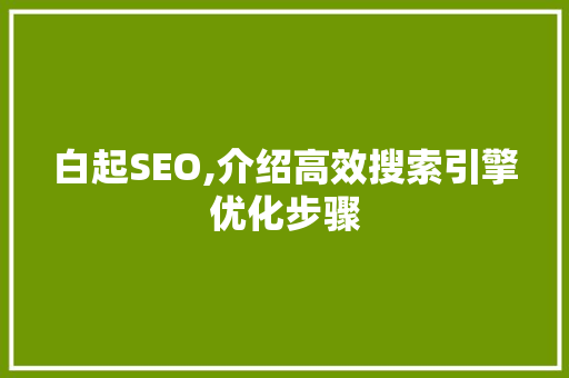 白起SEO,介绍高效搜索引擎优化步骤