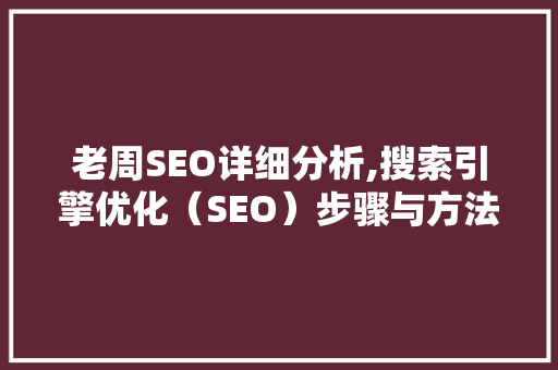 老周SEO详细分析,搜索引擎优化（SEO）步骤与方法