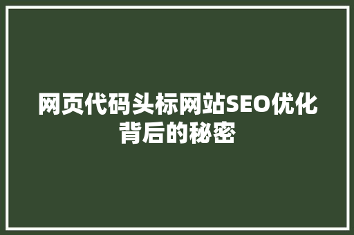 网页代码头标网站SEO优化背后的秘密