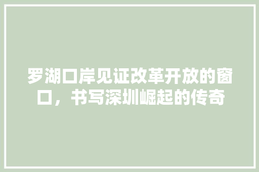 罗湖口岸见证改革开放的窗口，书写深圳崛起的传奇