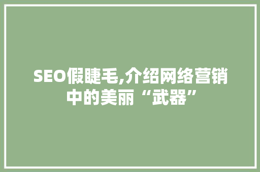 SEO假睫毛,介绍网络营销中的美丽“武器”  第1张
