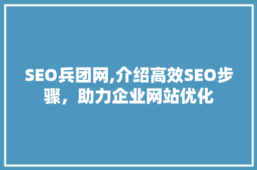 SEO兵团网,介绍高效SEO步骤，助力企业网站优化