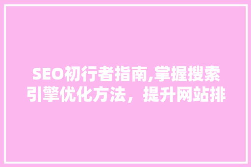 SEO初行者指南,掌握搜索引擎优化方法，提升网站排名