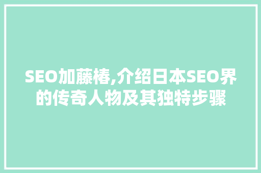 SEO加藤椿,介绍日本SEO界的传奇人物及其独特步骤