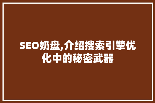 SEO奶盘,介绍搜索引擎优化中的秘密武器