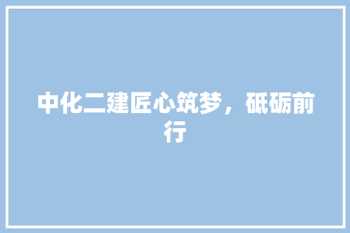 中化二建匠心筑梦，砥砺前行