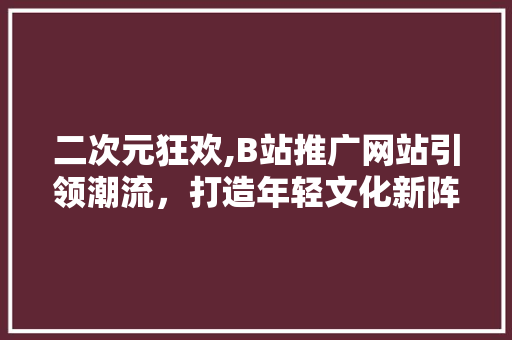 二次元狂欢,B站推广网站引领潮流，打造年轻文化新阵地