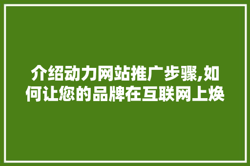 介绍动力网站推广步骤,如何让您的品牌在互联网上焕发光彩