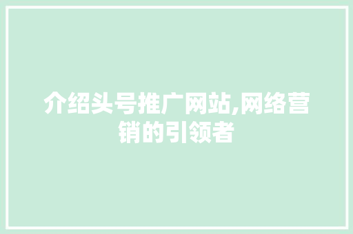 介绍头号推广网站,网络营销的引领者