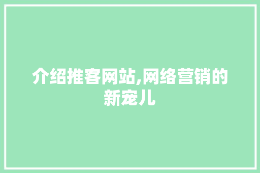 介绍推客网站,网络营销的新宠儿
