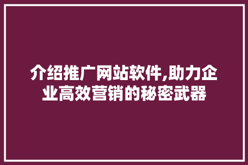 介绍推广网站软件,助力企业高效营销的秘密武器
