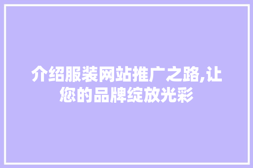介绍服装网站推广之路,让您的品牌绽放光彩