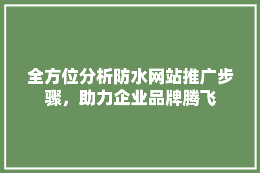 全方位分析防水网站推广步骤，助力企业品牌腾飞
