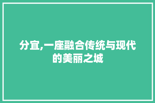 分宜,一座融合传统与现代的美丽之城